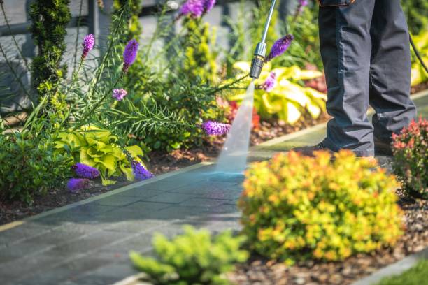 Reliable Park City, IL Pressure Washing Services Solutions