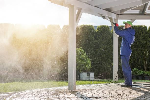 Best Graffiti Removal  in Park City, IL